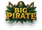 BigPirate logo