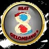 SG8 logo